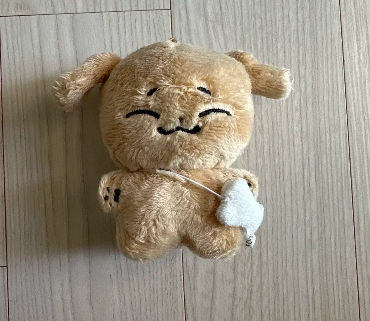 プリパラ ファルル ブロマイド カード おねむ プリティーオール