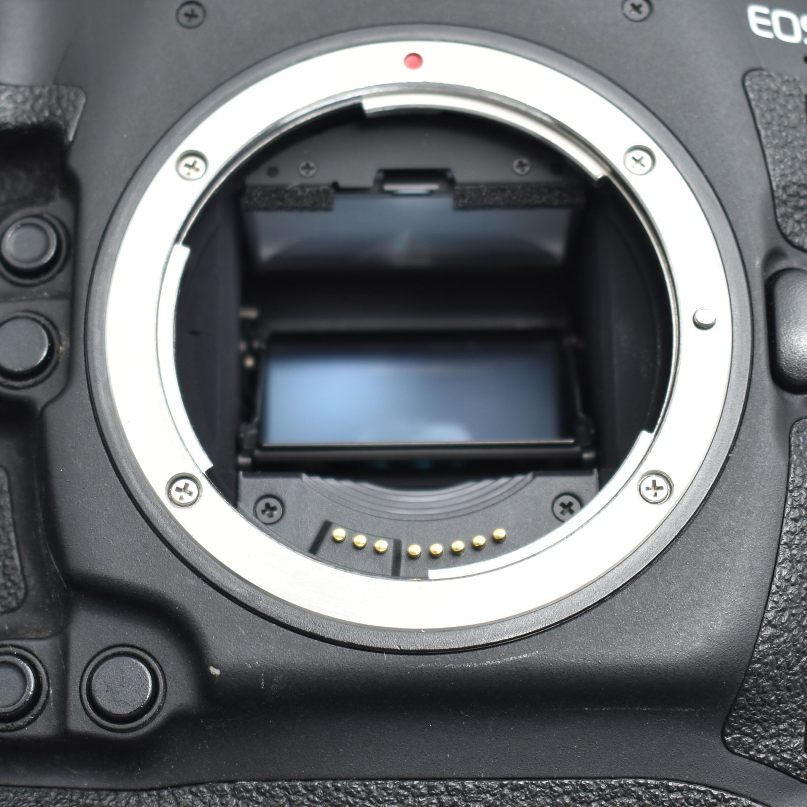 Canon 60D&2本のレンズ 被さっ 自由なアングルで撮影できるバリ Canon 60D&2本のレンズ 被さっ 自由なアングルで撮影できるバリ