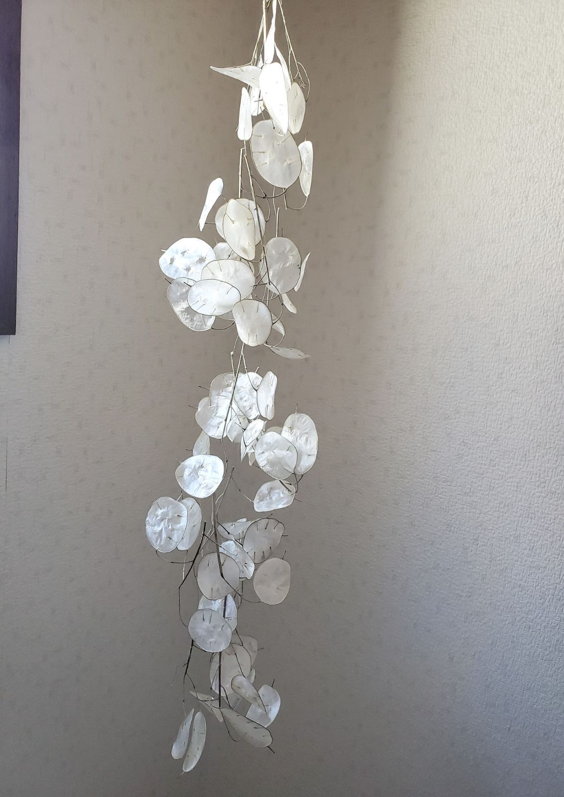 長さが変わるルナリアモビール ガーランド 約55cm3本 ドライ