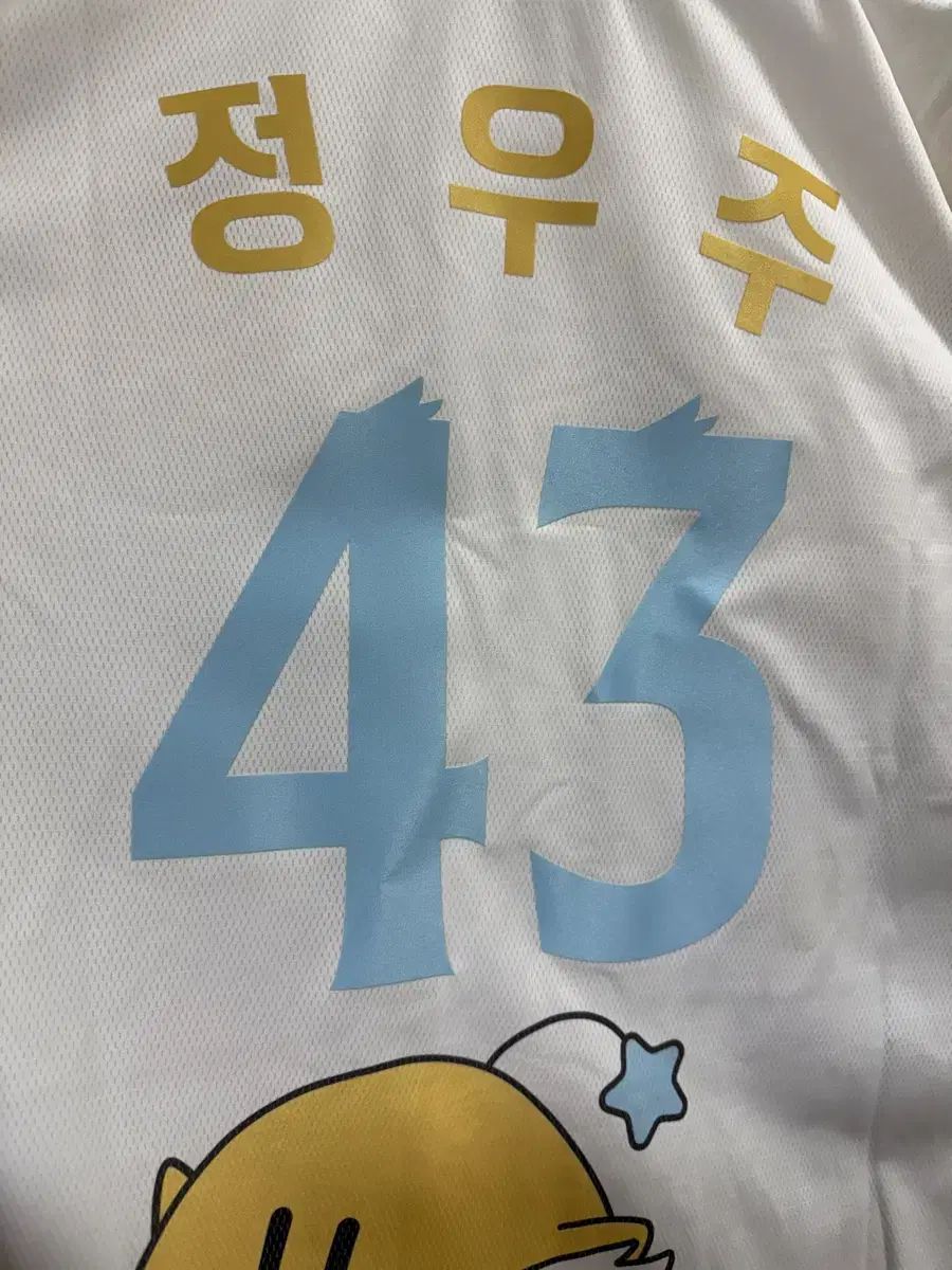 Hanwhae Eagles ハンファ イーグルス ユメドールユニコム チョンムン マーキング 105 サイズ ミシシに到着
