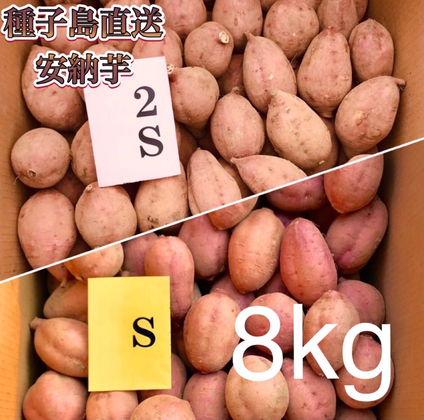 【絶品】種子島産  安納芋S 8kg(箱別)