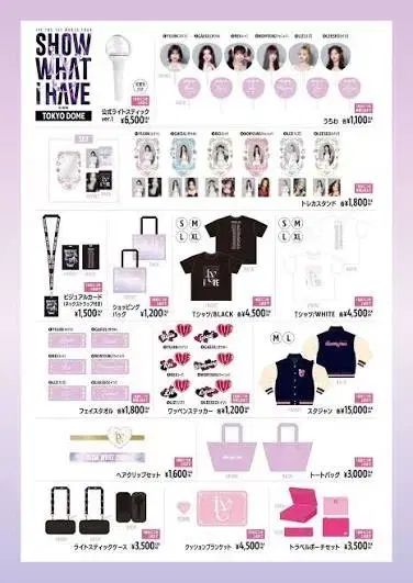 IVE アイヴ ペンライト ケース 日本 東京ドーム コンサート 直送