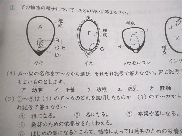 Gnoble グノーブル 小6 理科 グノベーシック/土曜/志望校/入試対策特訓 通年セット/各種テスト付 計98冊 ★ 000L2D Gnoble グノーブル 小6 理科 グノベーシック/土曜/志望校/入試