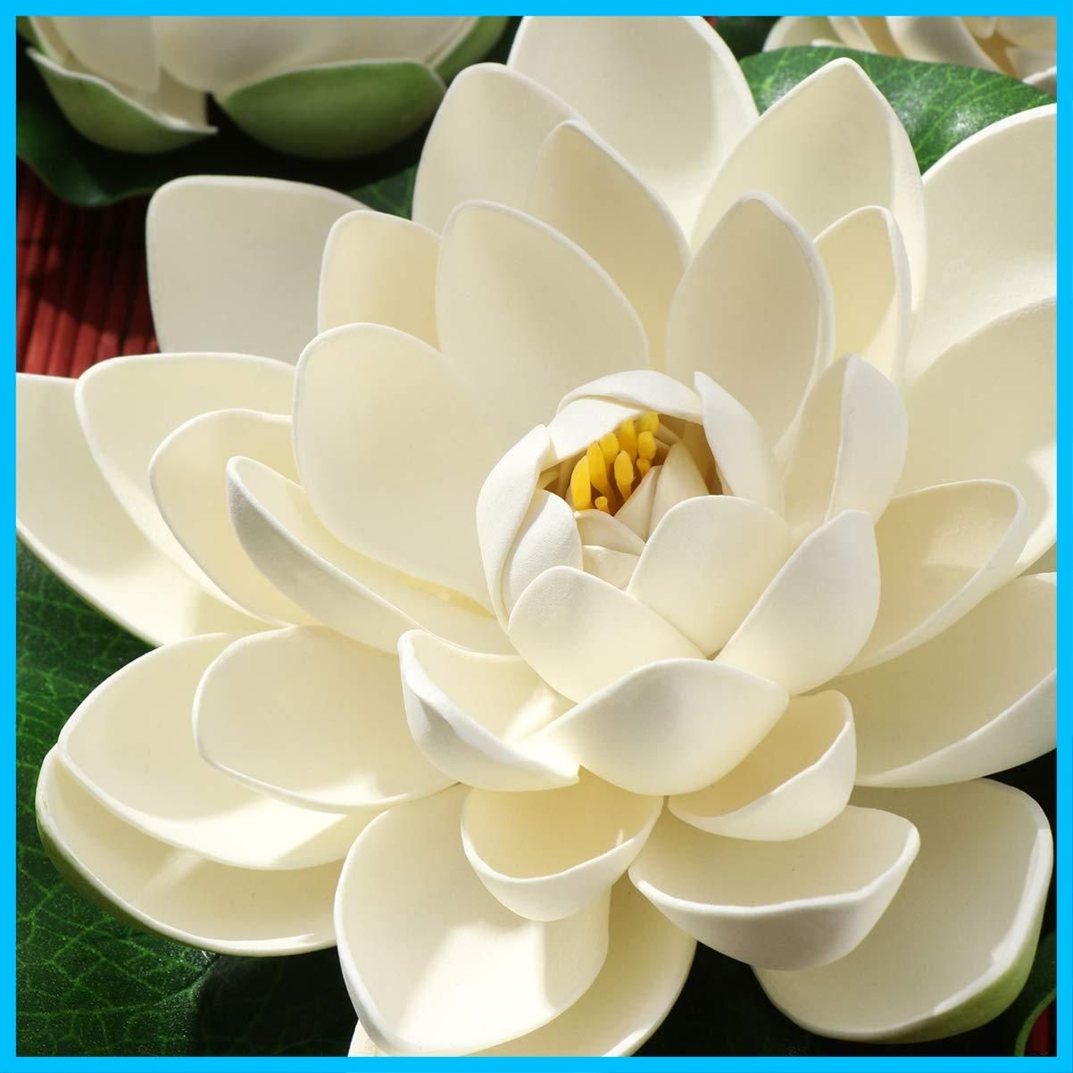 WINOMO 水族館内装