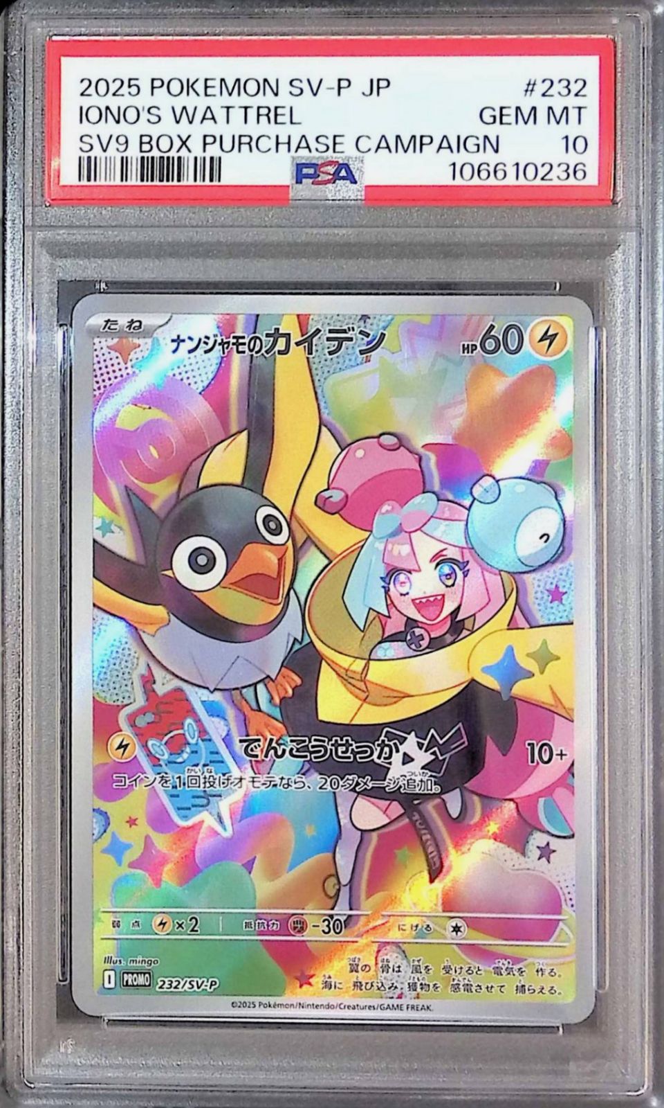 232/SV-P/PROMO ナンジャモのカイデン PSA10 106610236 - メルカリ