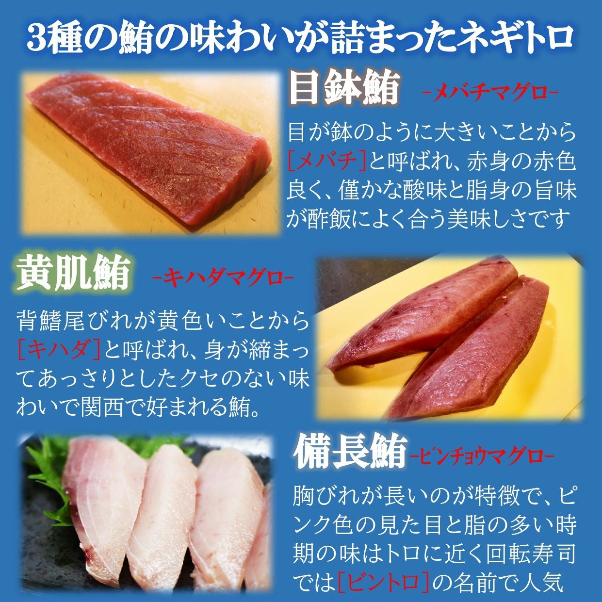 ネギトロ 1kg ( 500g×2パック ) 業務用 天然 まぐろ とろける美味しさ ねぎとろ 丼 ( 国産 / 大容量 / 3種の鮪使用 ) 無添加 鮪  マグロ たたき 冷凍 熨斗 ギフト  ギフトメッセージ 贈り物