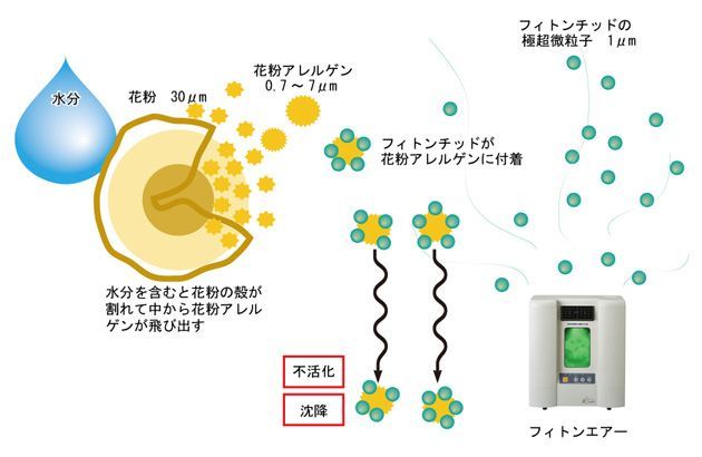 6本セット