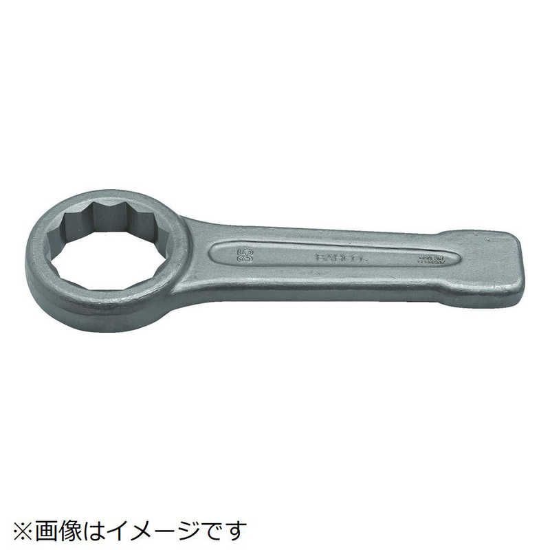 亀甲竜 美型 成長中 発芽済 早い者勝ち コーデックス