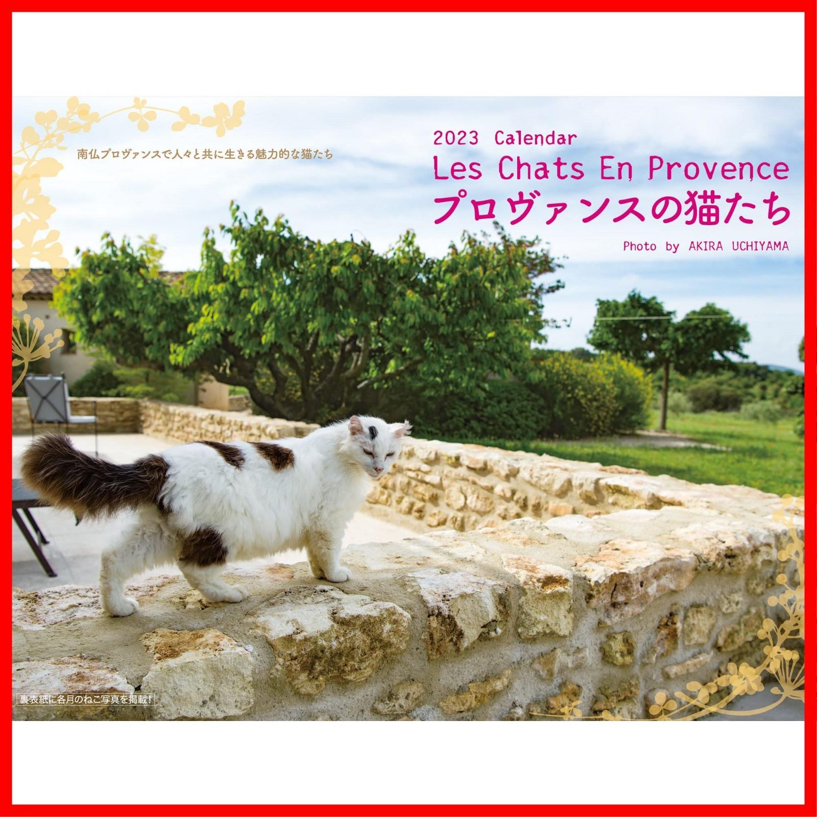 【在庫処分】2023プロヴァンスの猫たちカレンダー [カレンダー]