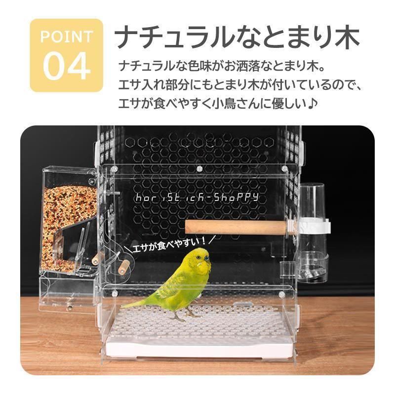 文鳥