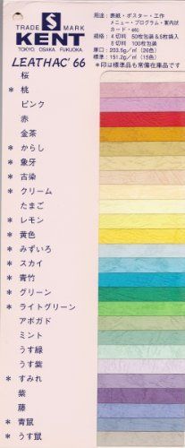 八切_紙厚130kg 100枚_タマゴ エスケント 色画用紙 レザック66 130kg 八切 タマゴ 100枚 1430188