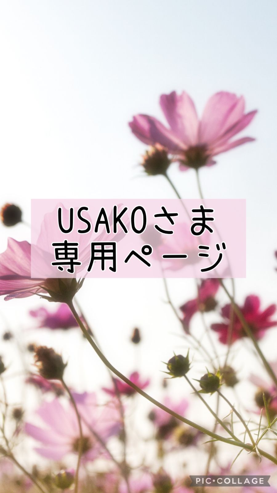 うさこ さま　専用ページ うさこ様専用 - メルカリ