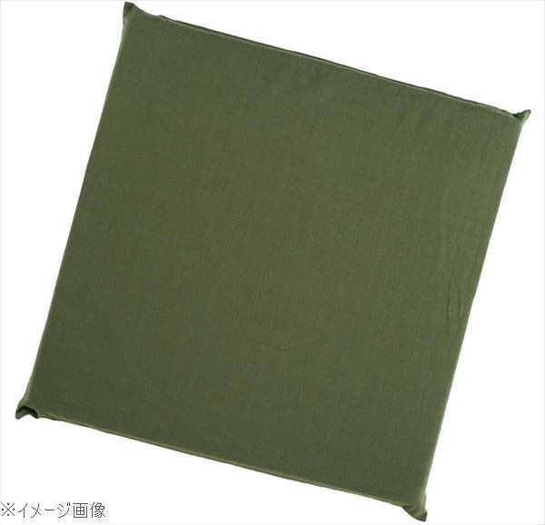 【新品】ウレタン座布団 ＥＸＵ７０５０ 利休