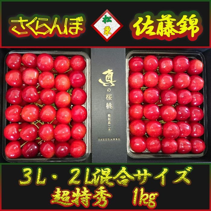 山形県東根産 真の桜桃 超特秀 さくらんぼ佐藤錦 3L2L混合サイズ 1kg 高級 化粧箱入り ギフト 父の日 贈答品にも喜ばれます 6月10日以降より収穫し次第順次発送予定