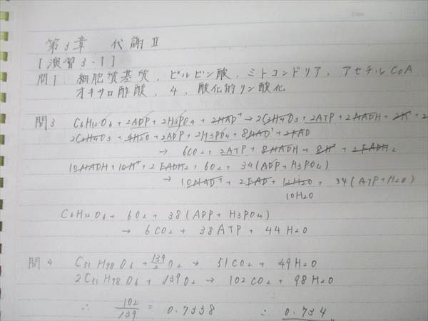 代々木ゼミナール 代ゼミ ハイレベル生物問題演習 テキスト通年セット 2024 計2冊 大町尚史 020S0D 代々木ゼミナール 代ゼミ ハイレベル生物問題演習 テキスト通年