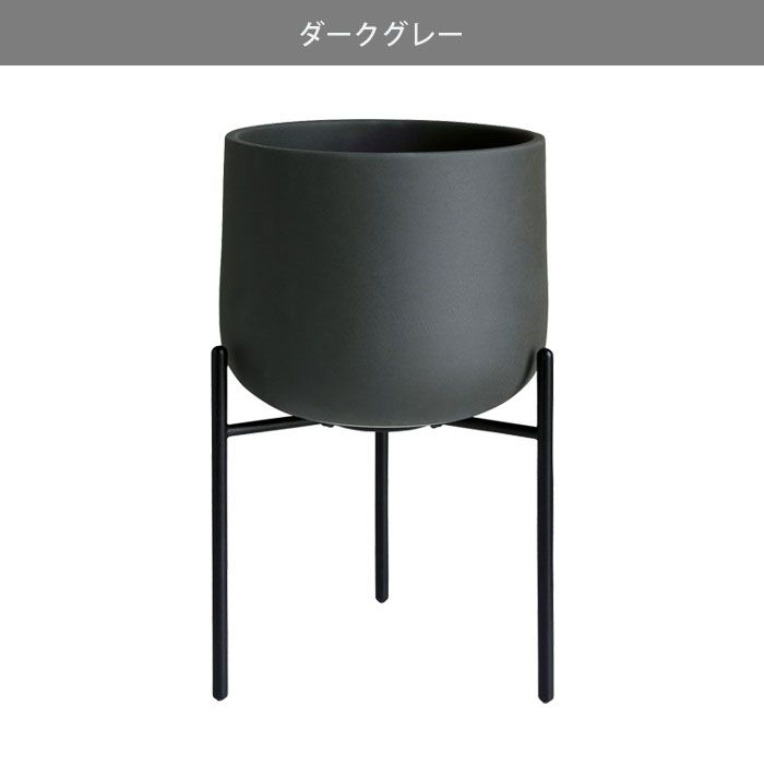 サボテン 花