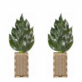 A＆K 日本製プリザーブド ミニS榊 榊立てカバーセット ST-023