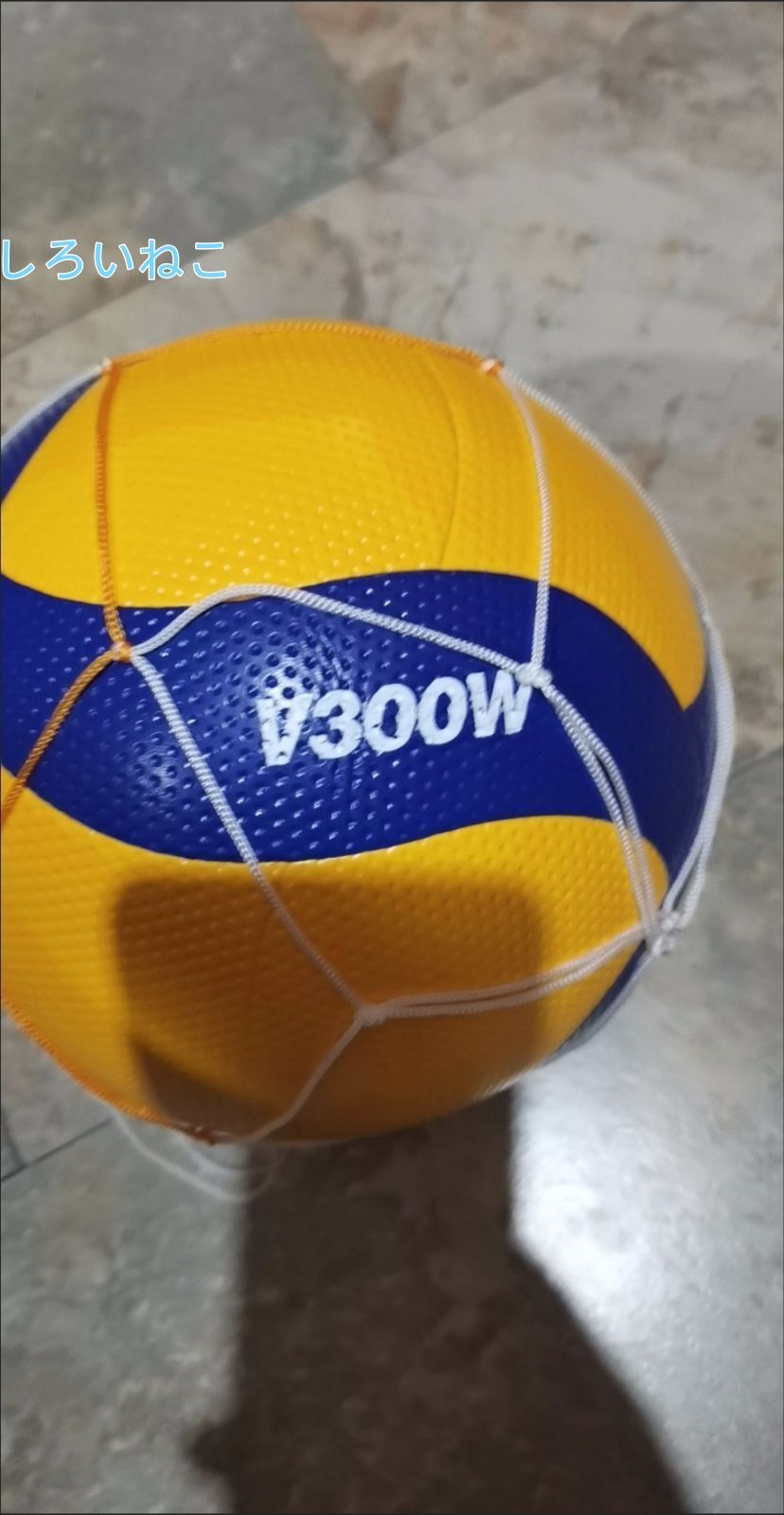 ミカサ(MIKASA) バレーボール V300W しろいねこ SHOP（V030W