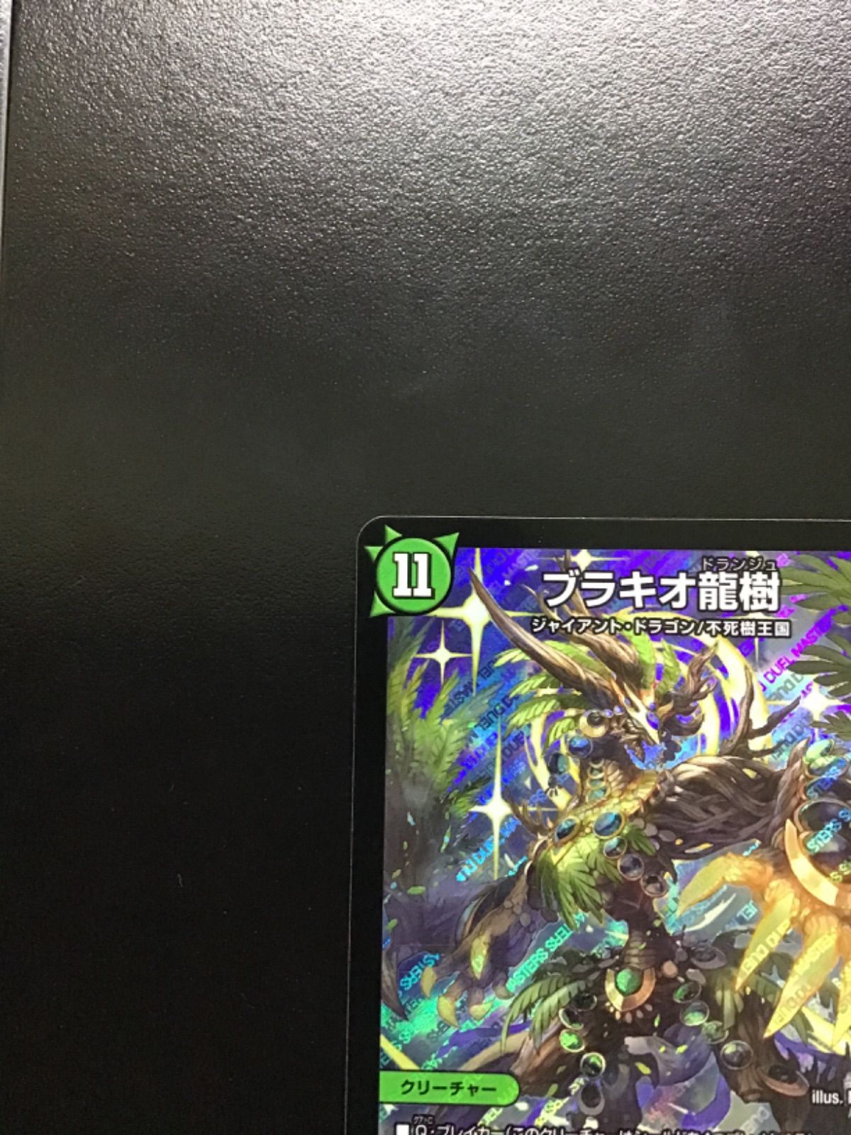 ブラキオ龍樹3枚セット RP14 SR S5/S11 clvg7xviv06ops6017b0pkck3.webp