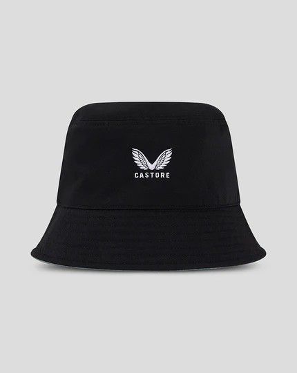 公式モデル 日本未発売