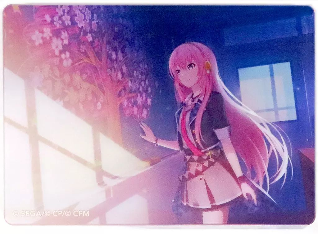 中古】雑貨 巡音ルカ(黒板に咲くサクラ/特訓前) 「プロジェクトセカイ