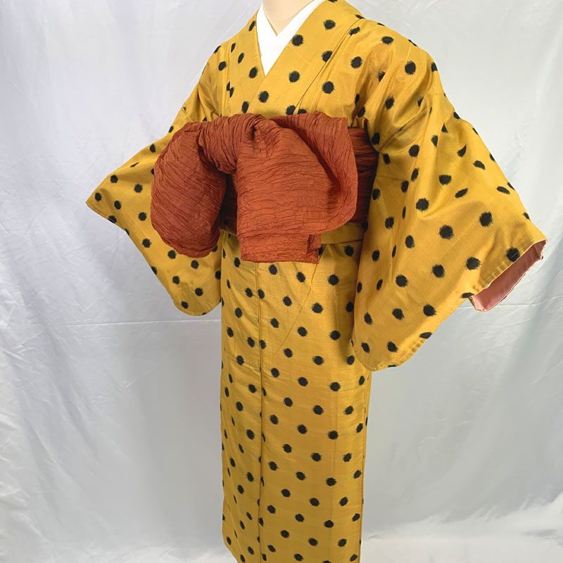 508aa5◇アンティーク着物 銘仙 植物文に露 レトロモダン 大正ロマン