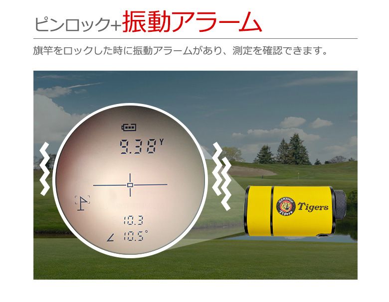 阪神タイガース×トゥルーロール