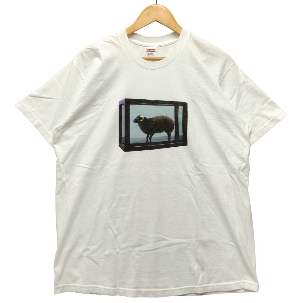 SUPREME シュプリーム 25SS Damien Hirst Tee ダミアンハースト