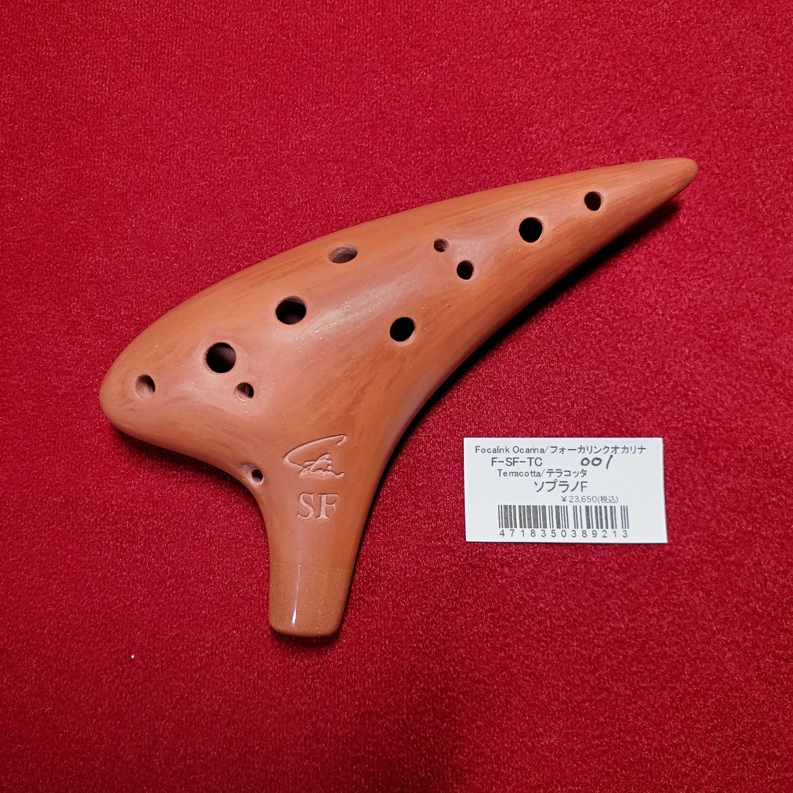 フォーカリンク テラコッタ SF フォーカリンク テラコッタ SF