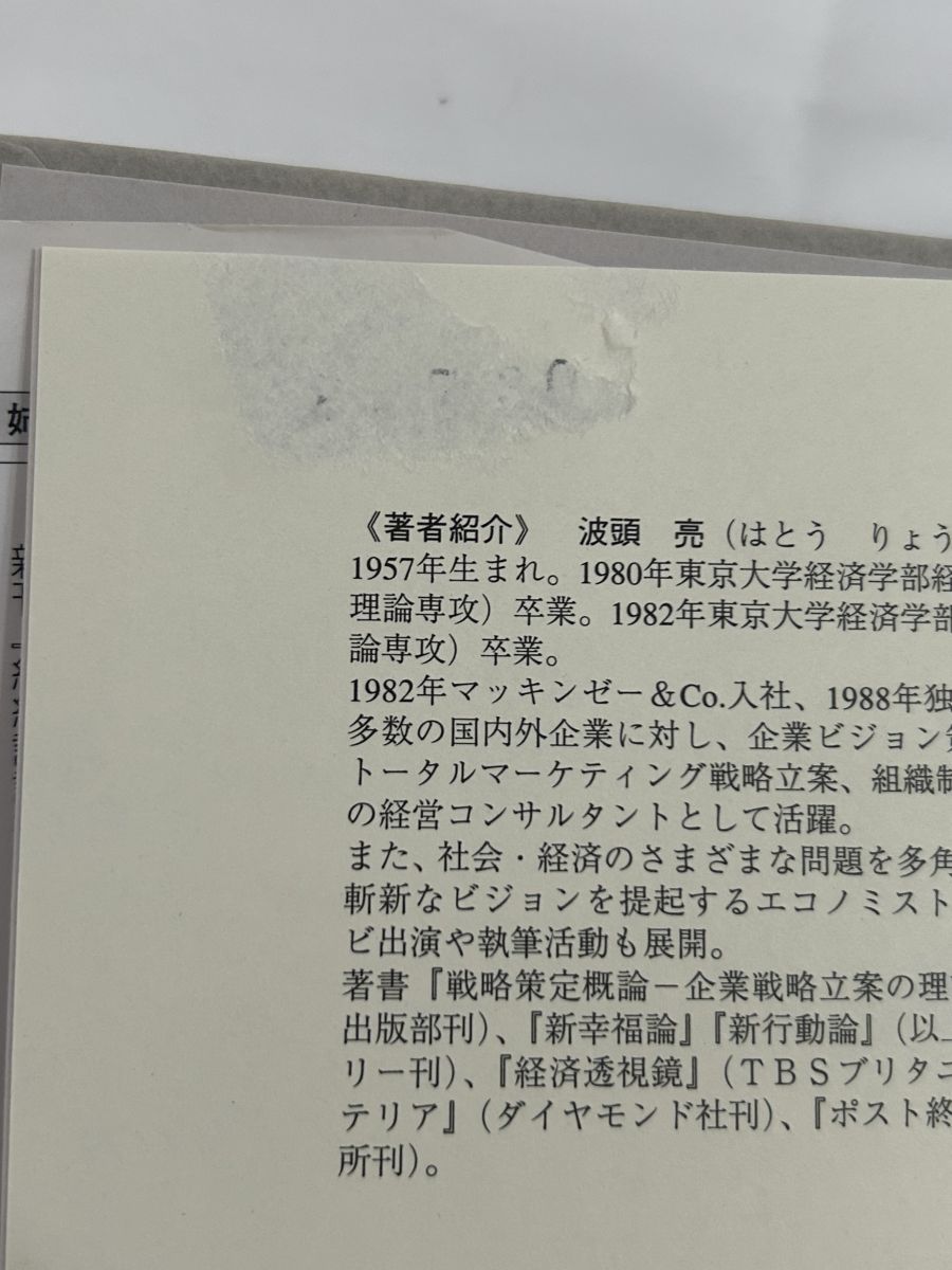 組織設計概論―戦略的組織制度の理論と実際 波頭 亮 産能大出版部