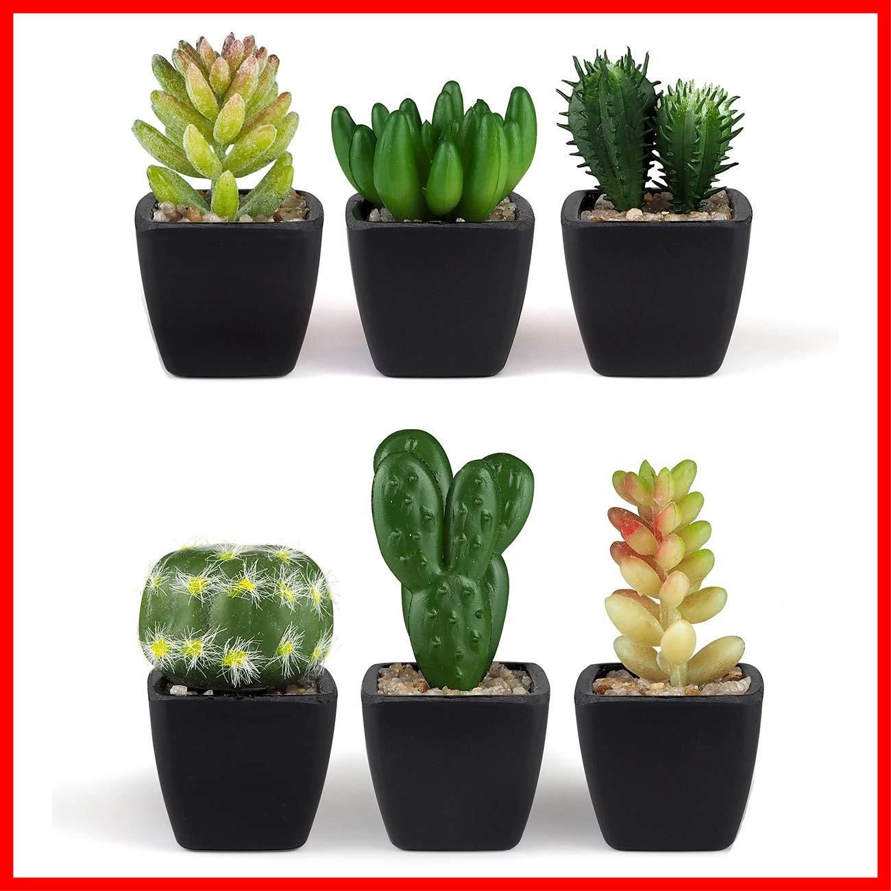 人気商品 フェイクグリーン 多肉植物 人工観葉植物 NaturalGarden 手入れのいらない インテリア あミューズ 6種セット