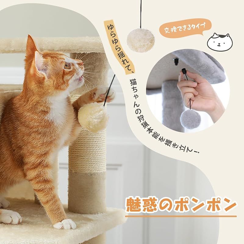 大型猫用