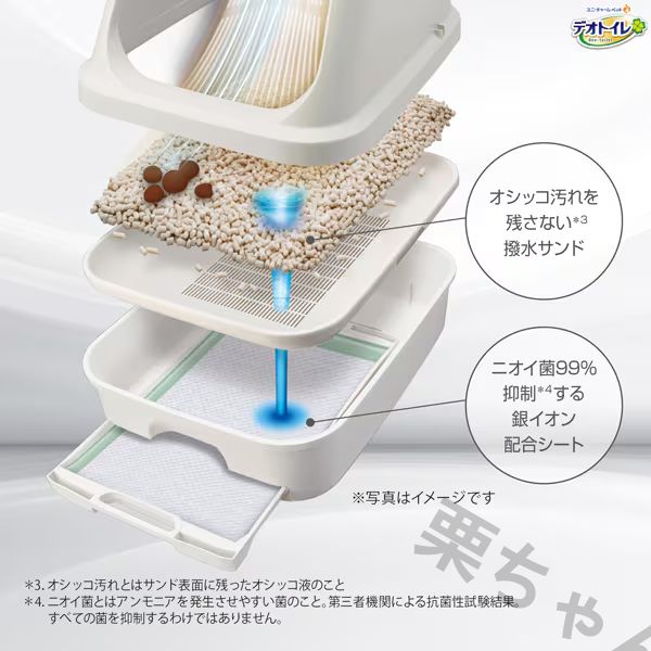 本体セット