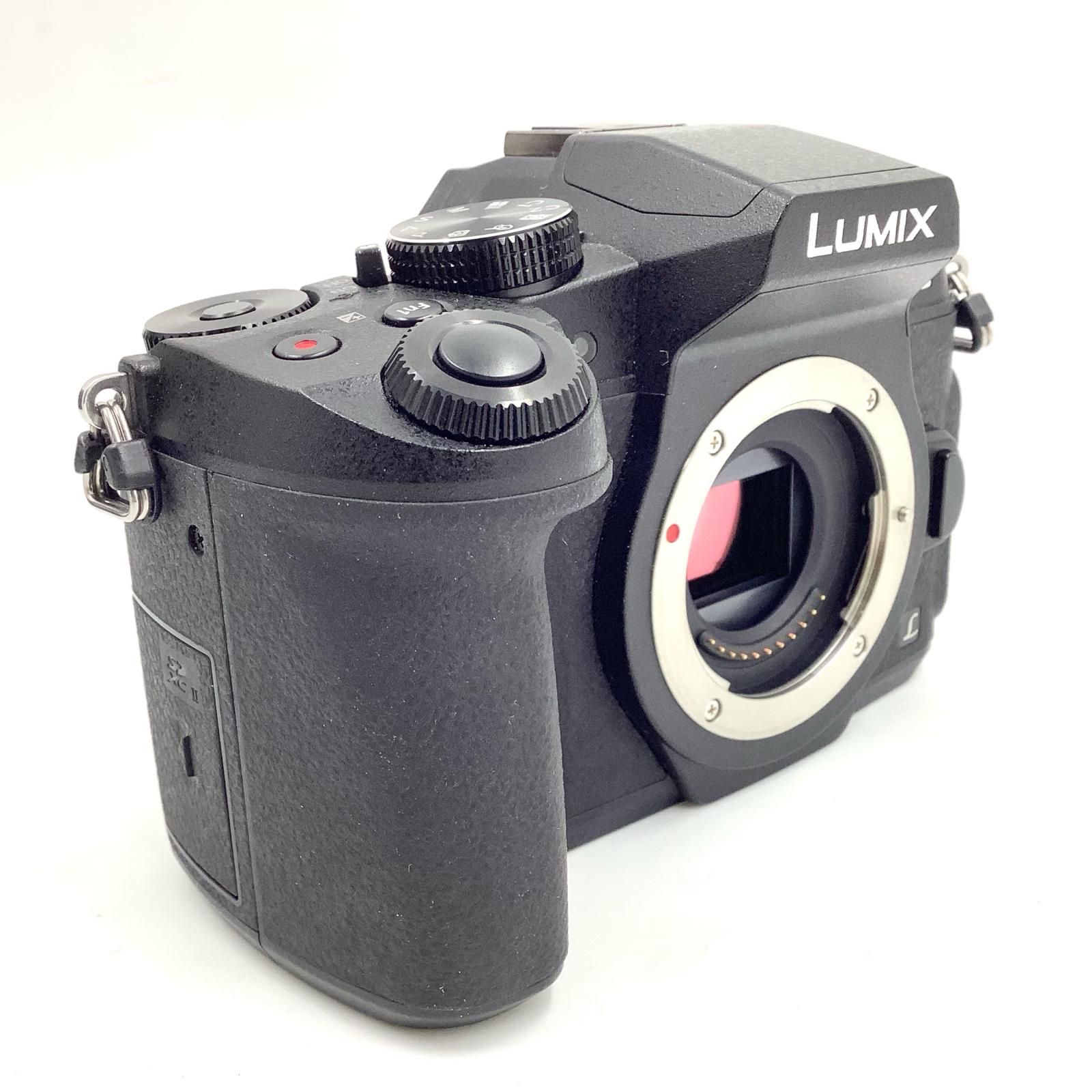 ★ショット数6174回★ LUMIX DMC-G5 望遠レンズセット　ミラーレス 20120823141056_992_.jpg