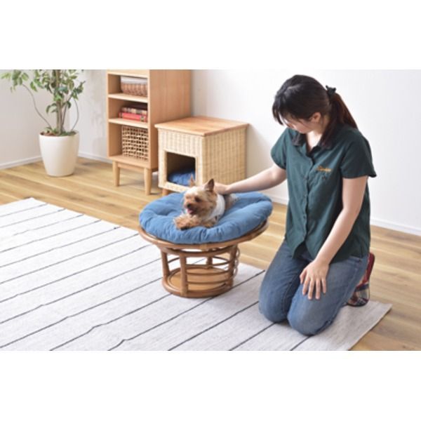 約直径55×高さ35 cm