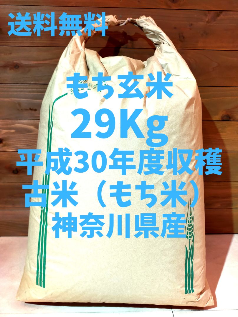令和6年産千葉県天羽産 コシヒカリ 玄米 29kg 公式通販
