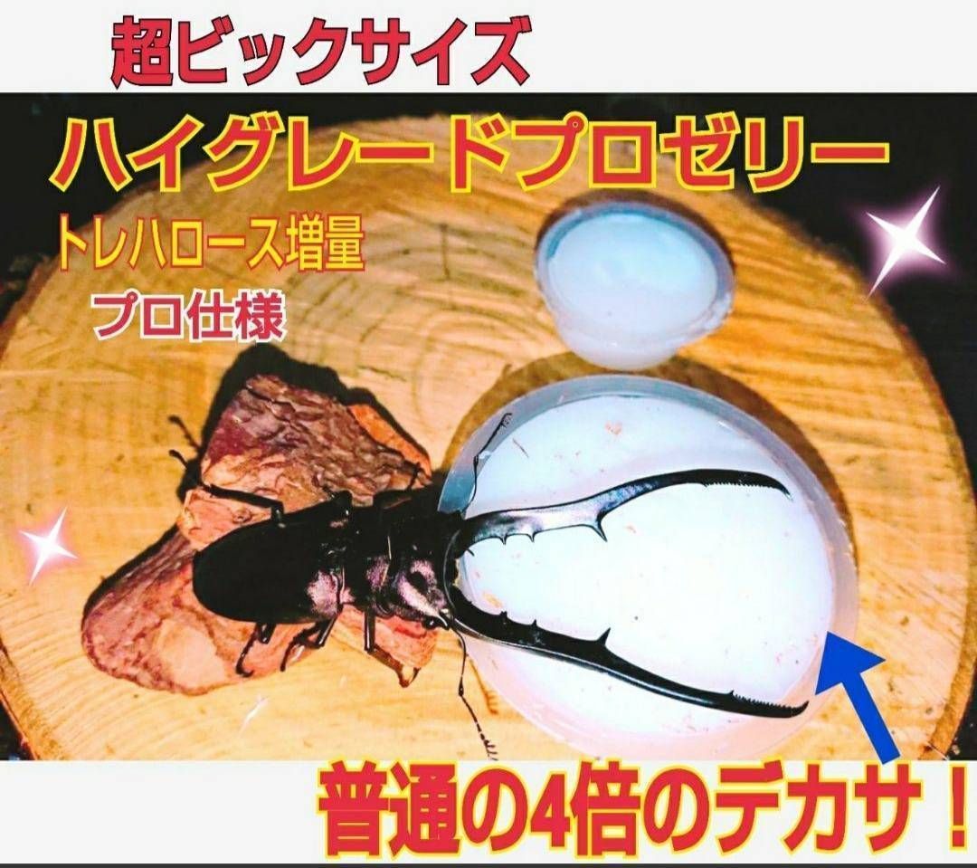 超ビッグサイズ!普通の4倍以上!ハイグレードプロゼリー☆200個 超ビッグサイズ!普通の4倍以上!ハイグレードプロゼリー☆200個