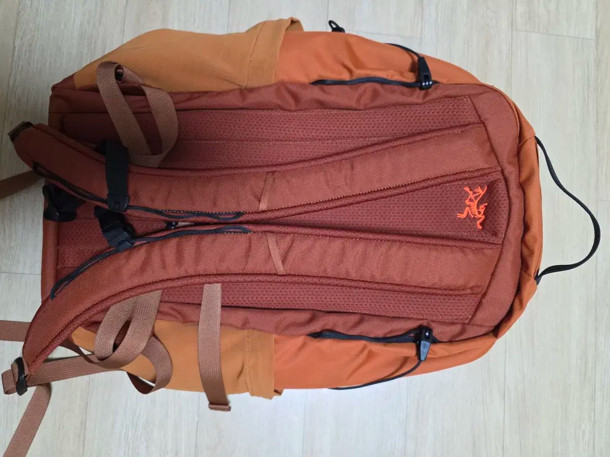 園山幹生 リトグラフ 美術品 絵画 版画 インテリア 1/100 紫陽花の絵