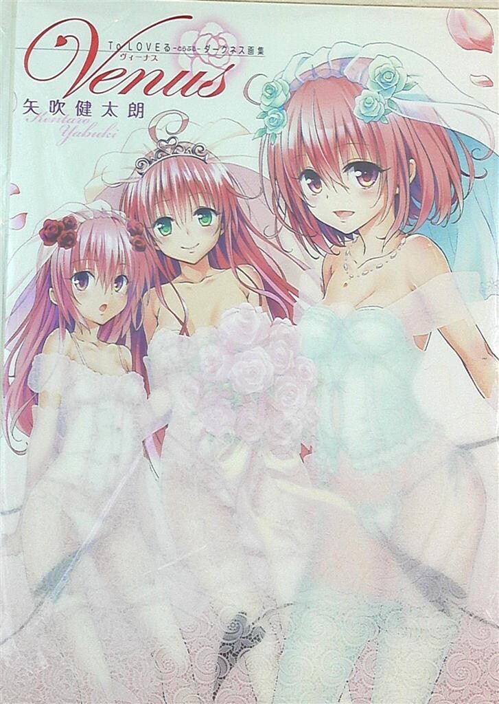 集英社 矢吹健太朗 To LOVEるダークネス画集 Venus