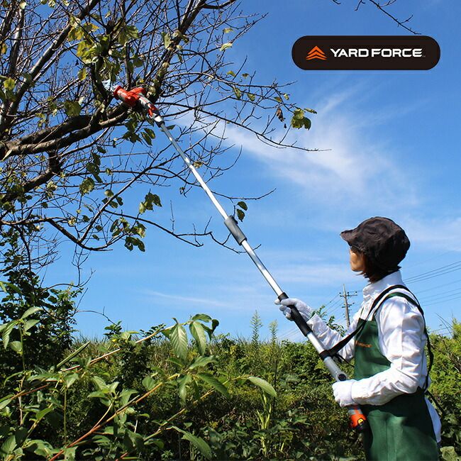 佐川急便配送 YARD FORCE ヤードフォース 12V コードレス 高枝電動2WAYのこぎり 家庭用 高枝ノコギリ 高枝切り 電動 のこぎり