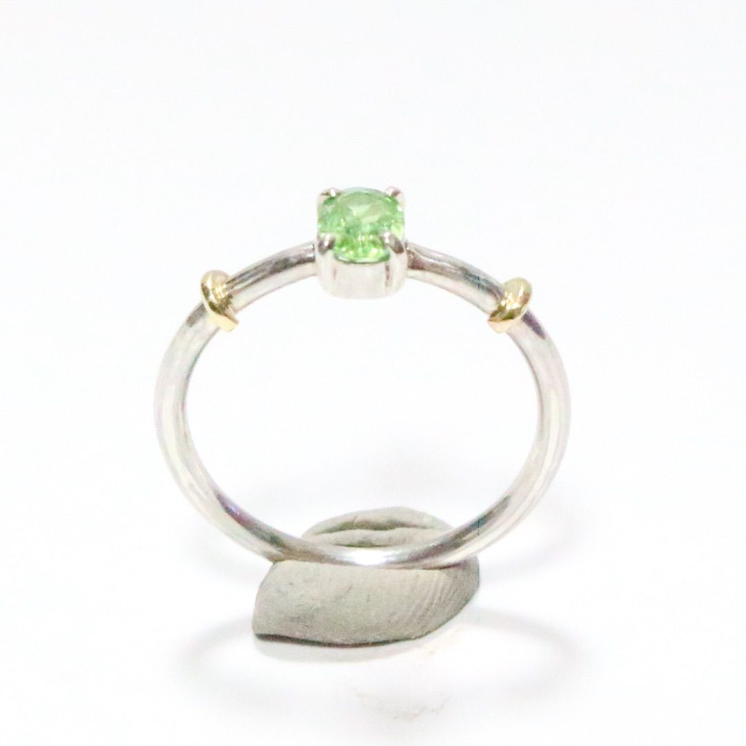 テリ艶⭐︎ナミビア産デマントイドガーネットのK10小ワッカシルバー