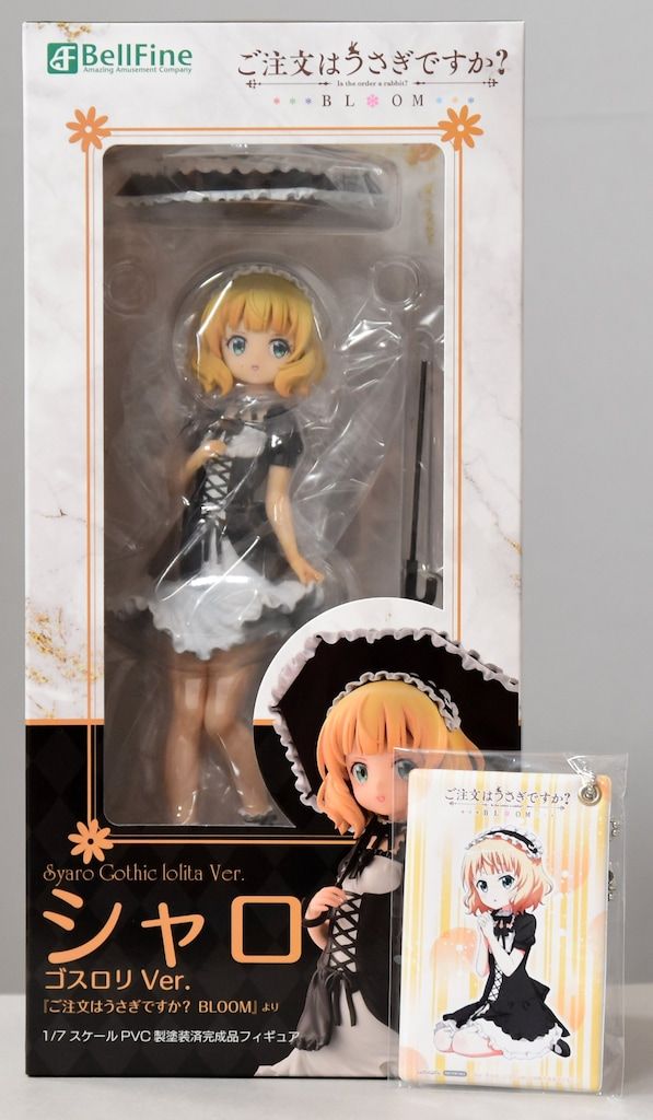 ゼリツィンエリクサー基本セット・別売り教本付き 【公式通販】