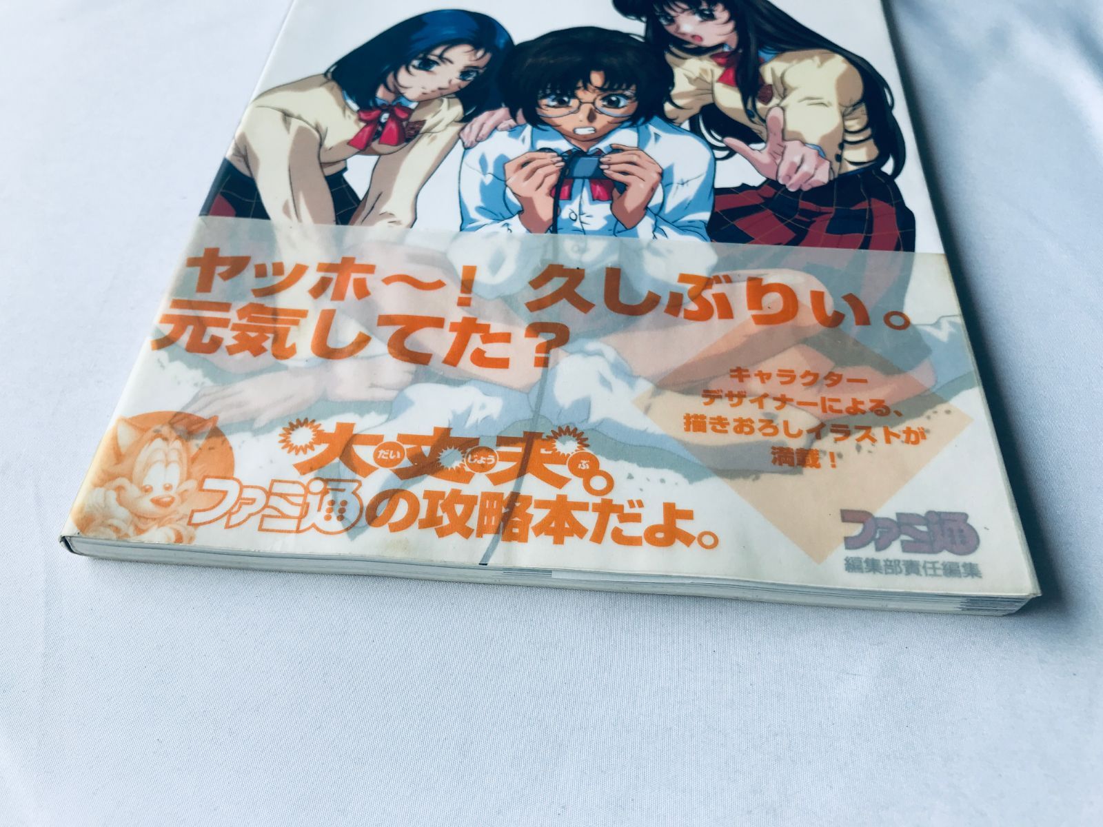 ノエル コンプリート プレイヤーズ バイブル ガイド PS 攻略本 初版 絵 
