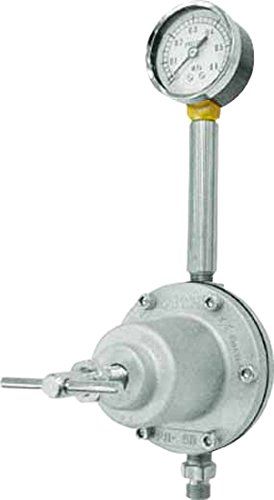 2営業日で発送 アネスト岩田 バックプレッシャバルブ PRB5B 8751 3807754