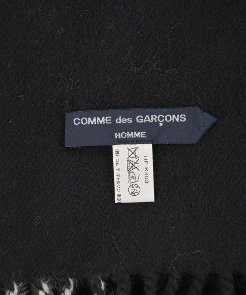 HOMME