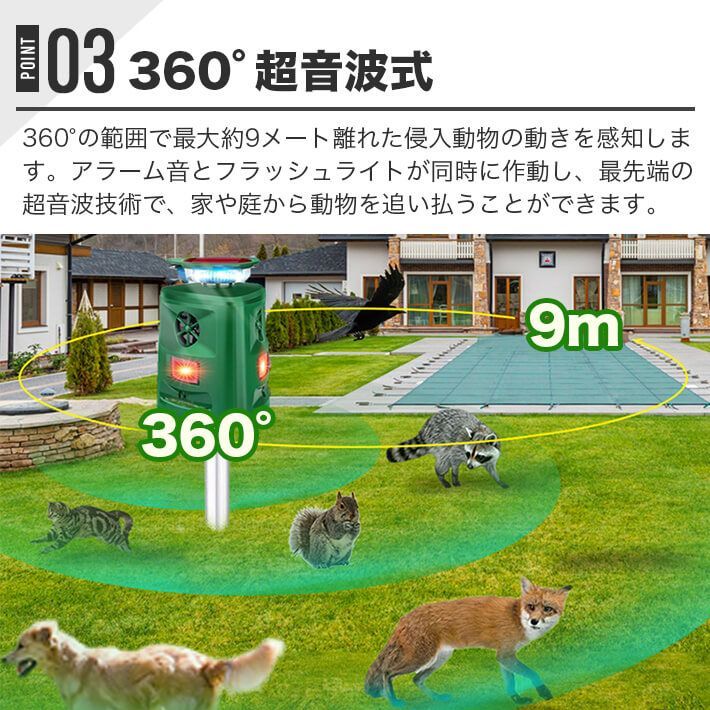 ネズミ