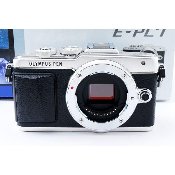 掛軸 水鶏(くいな) 渡辺清作 鑑定箱書付 共箱 紙箱 S936KJ