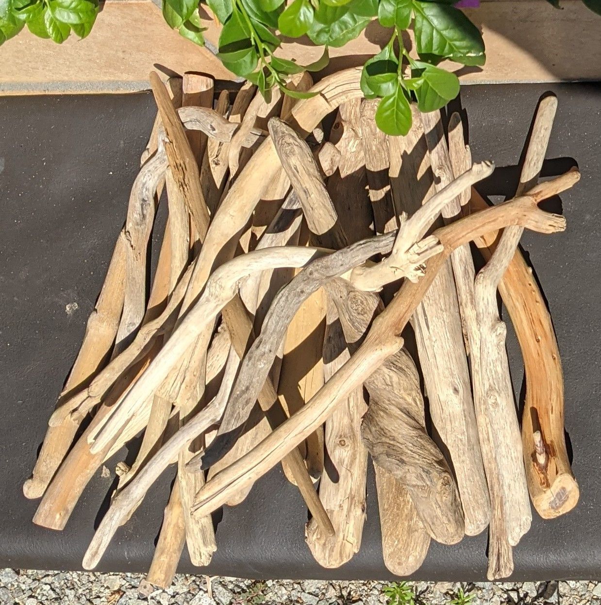 流木(626)　流木3点セット　アクアリウム　テラリウム 流木(626)流木3点セットアクアリウムテラリウム