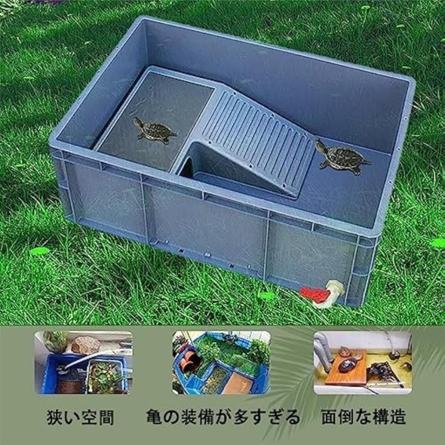 亀 水槽