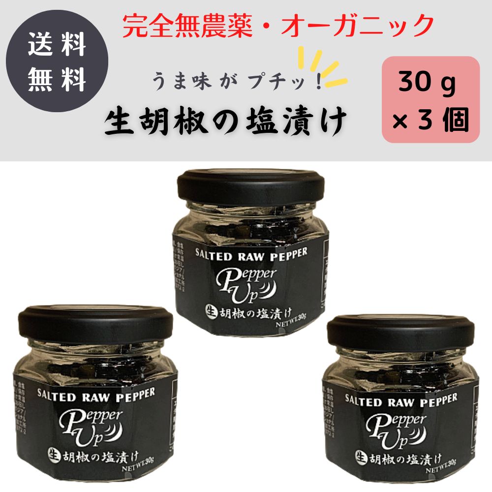 生胡椒の塩漬け・90g（30g瓶×３つ）◇キャンプに BBQに便利なスパイス